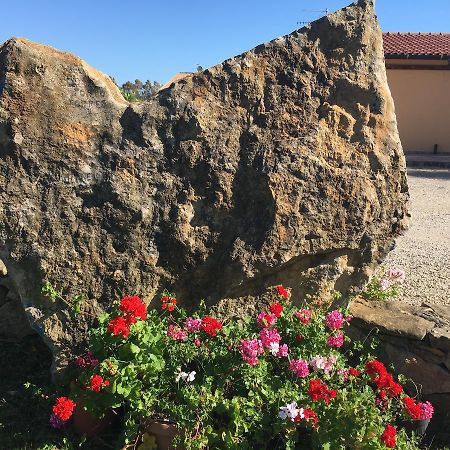 Agriturismo Sechi Campanedda Exterior photo